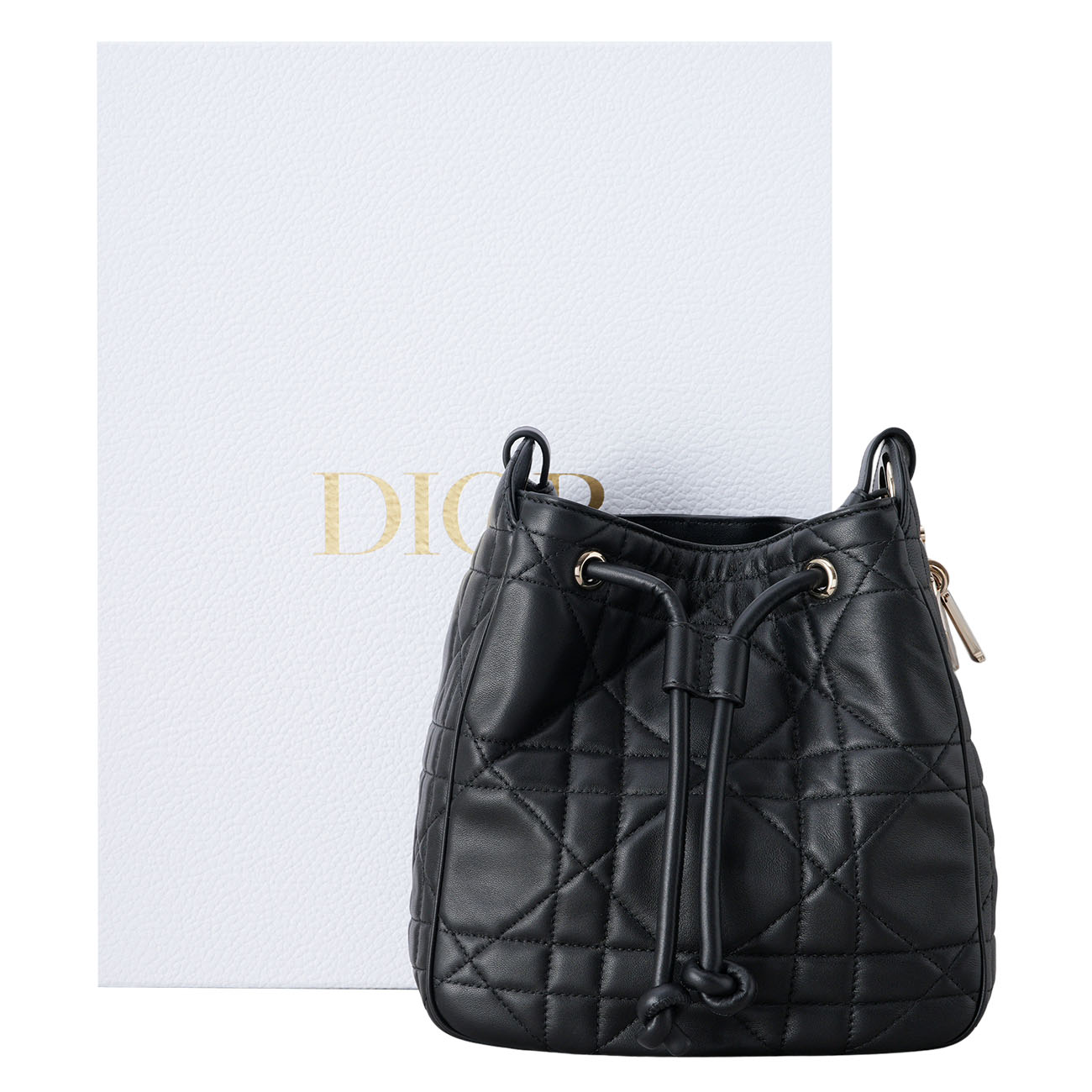 CHRISTIAN DIOR(USED)디올 디모션백 스몰